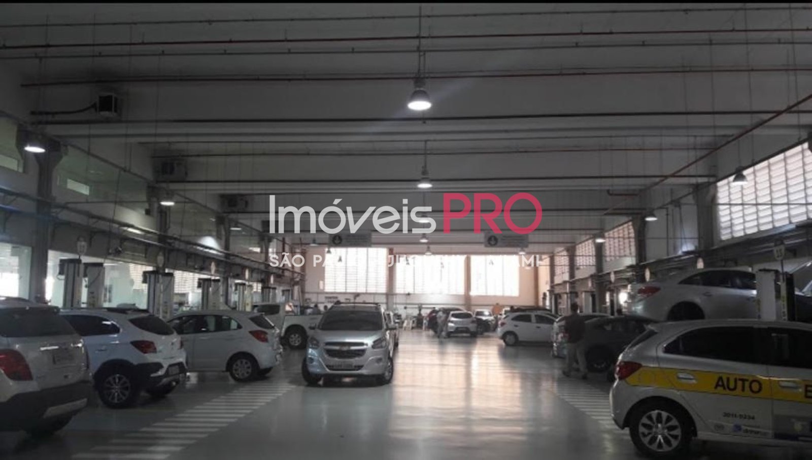Galpão para Vender, Nova Aliança | Cód: IP41247 — foto 6