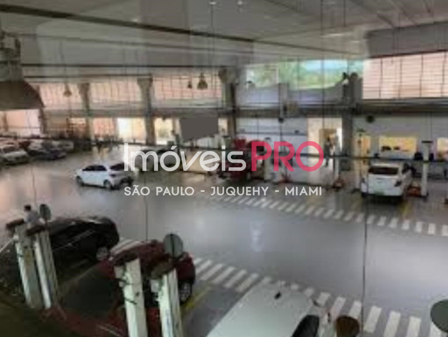 Galpão para Vender, Nova Aliança | Cód: IP41247 — foto 7