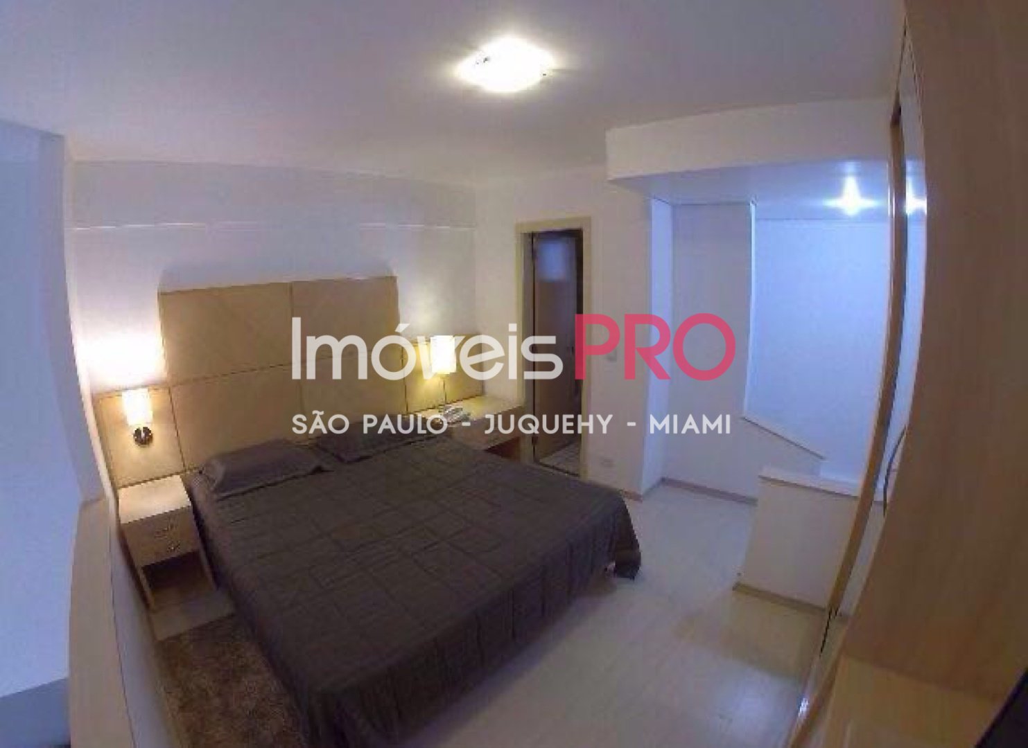 Foto :: IP8171